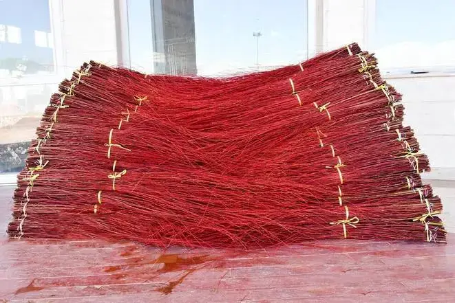 red willow
