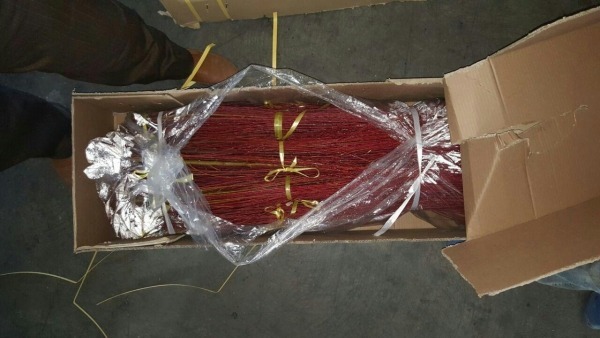 Export Red Willow Tree