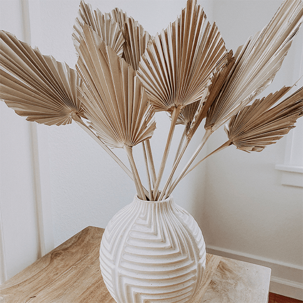 Dried fan palm