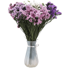 Sea lavender flower