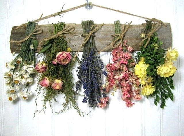 Drying natural flowers by hanging