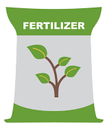 Suitable Fertilizer for Aster flower