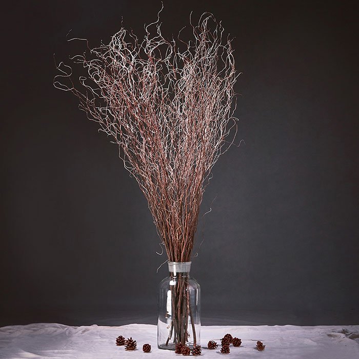 dried curly willow branches