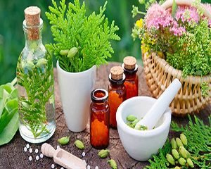 Iranian Medicinal Plants