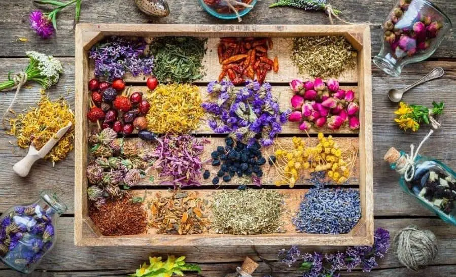 Iranian Medicinal Plants