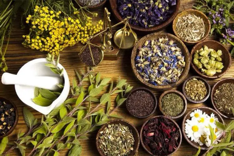 Chinese Guide to Iranian Medicinal Plants