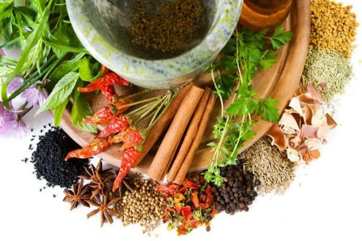 Iranian Medicinal Plants
