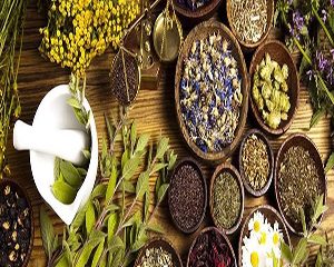 Iran and traditional medicine