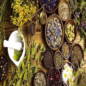Iran and traditional medicine