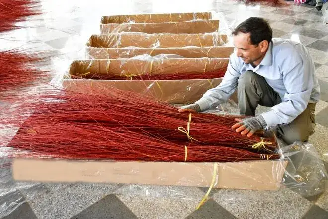 export of red willow